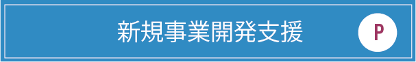 新規事業開発支援